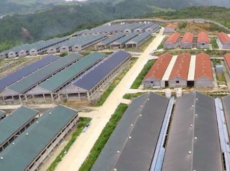 䓸B(yng)i(chng)đ(yng)